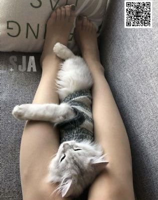 黄色特级欧美一级a片_超清日本电影免费